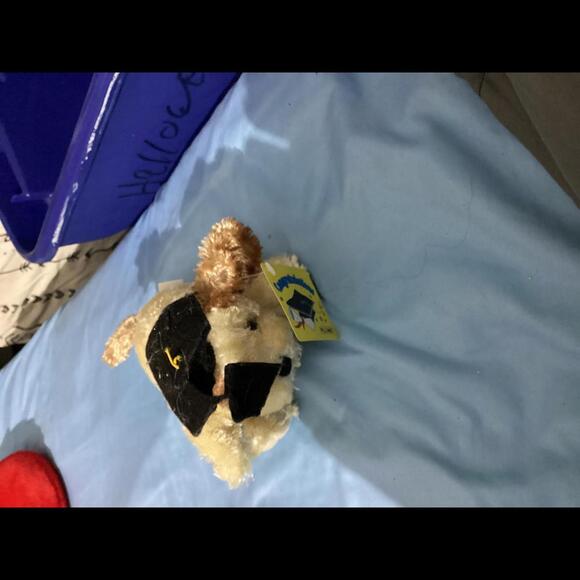 Graduation bears - Picture 2 of 4